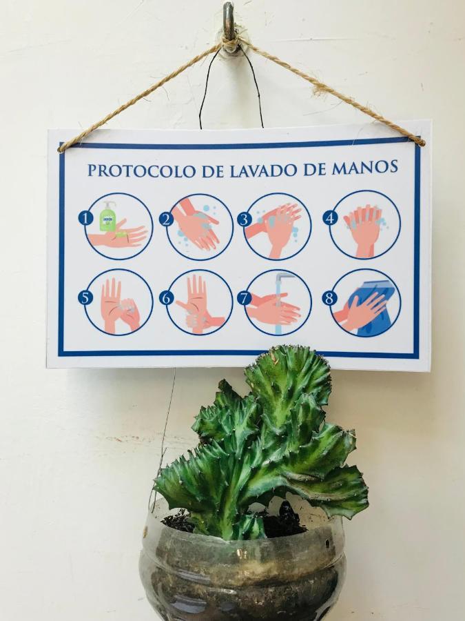 Casa Mama Waldy Hostel Cartagena Eksteriør bilde